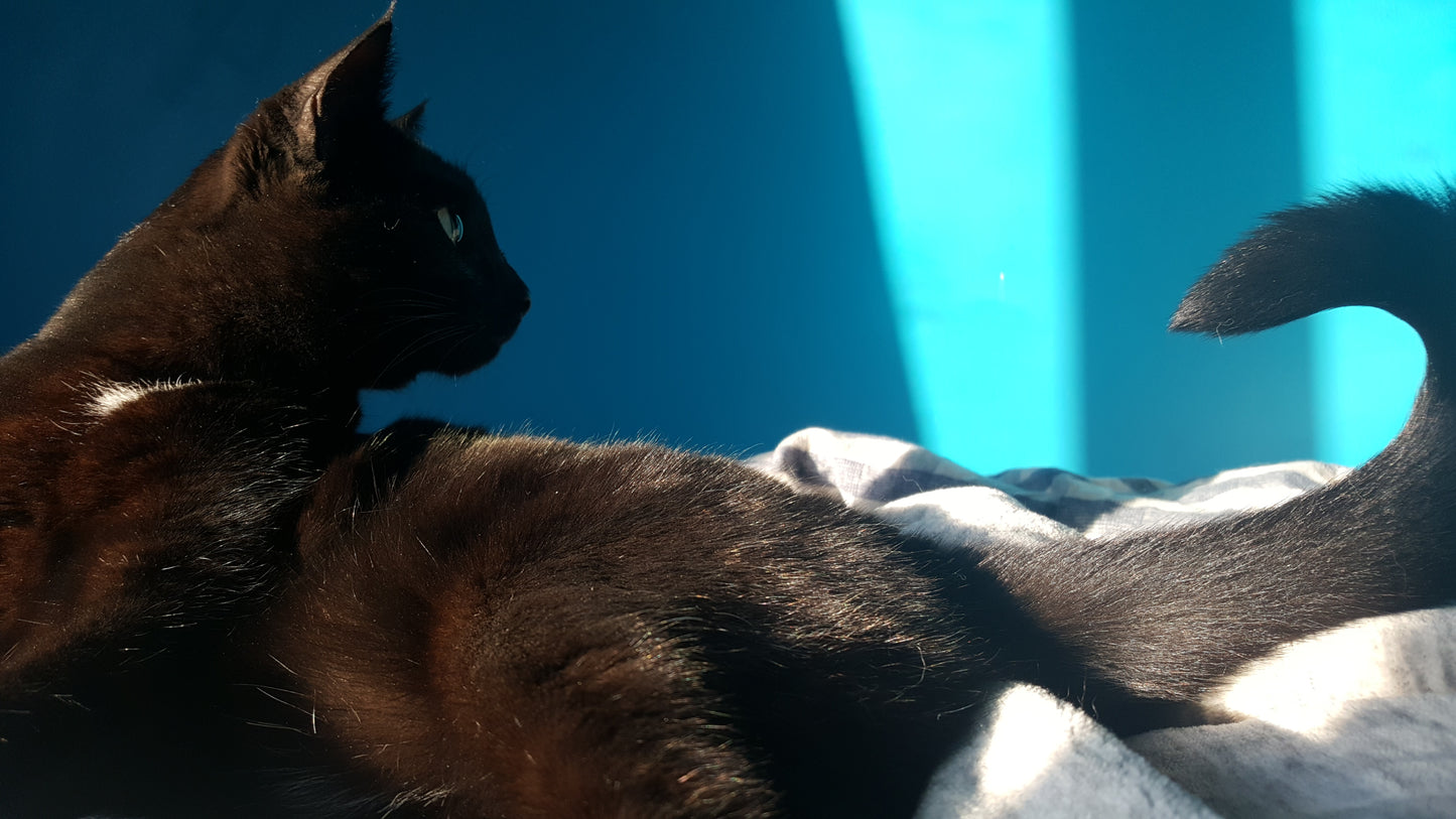 Special Order for Tatiana